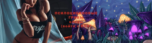 МДМА Богданович