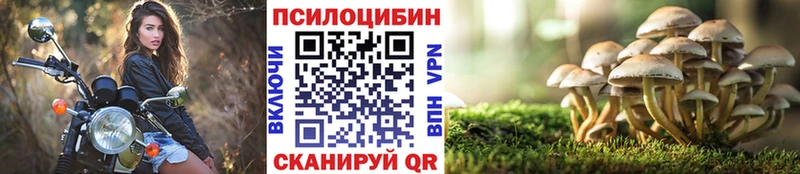 Галлюциногенные грибы ЛСД  Щигры 