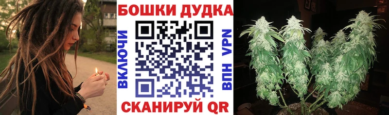 Канабис сатива  Щигры 